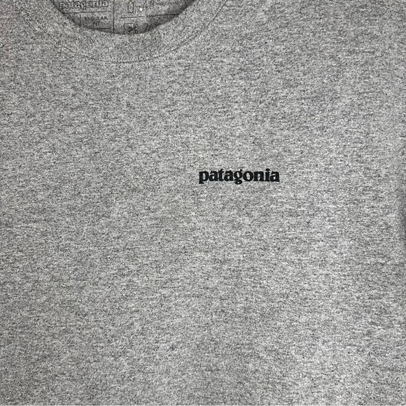 Patagonia Gray and Blue Short Sleeve Tee.‎ Men’s Large. Cotton - Picture 3 of 7